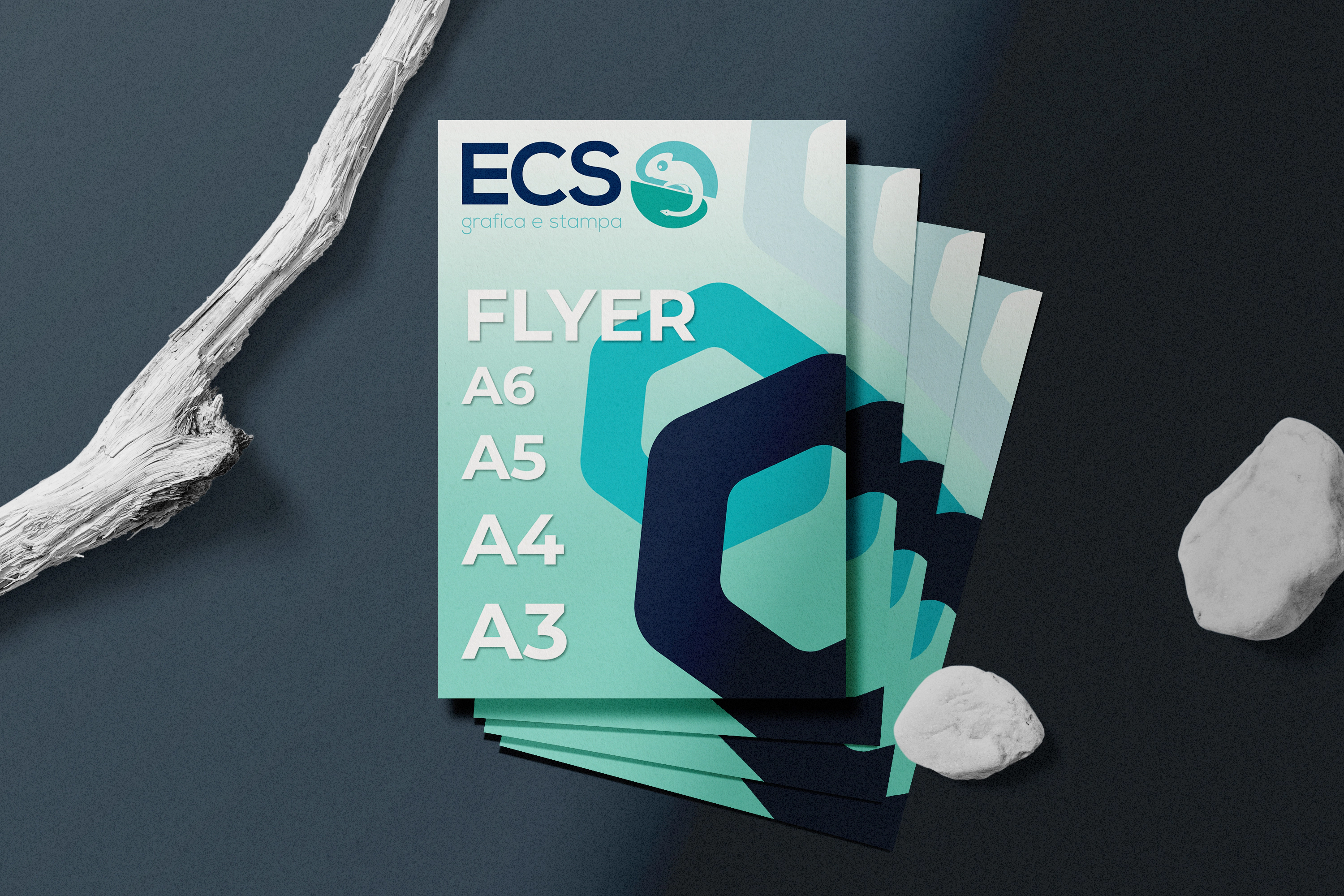 Coordinato ECS